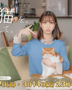 电影《极速追杀4》海报