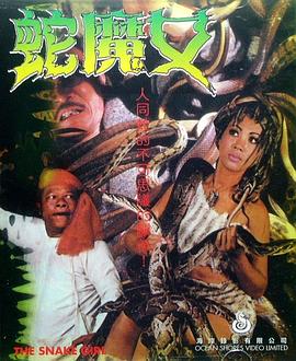 电影《极速追杀4》海报