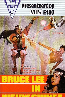 电影《极速追杀4》海报